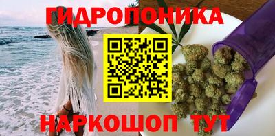 apvp Обнинск